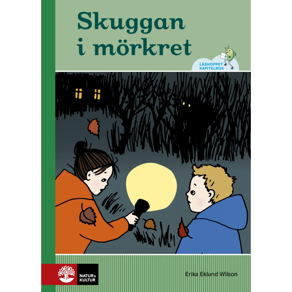 Skuggan i mörkret (inbunden) Erika Eklund Wilson