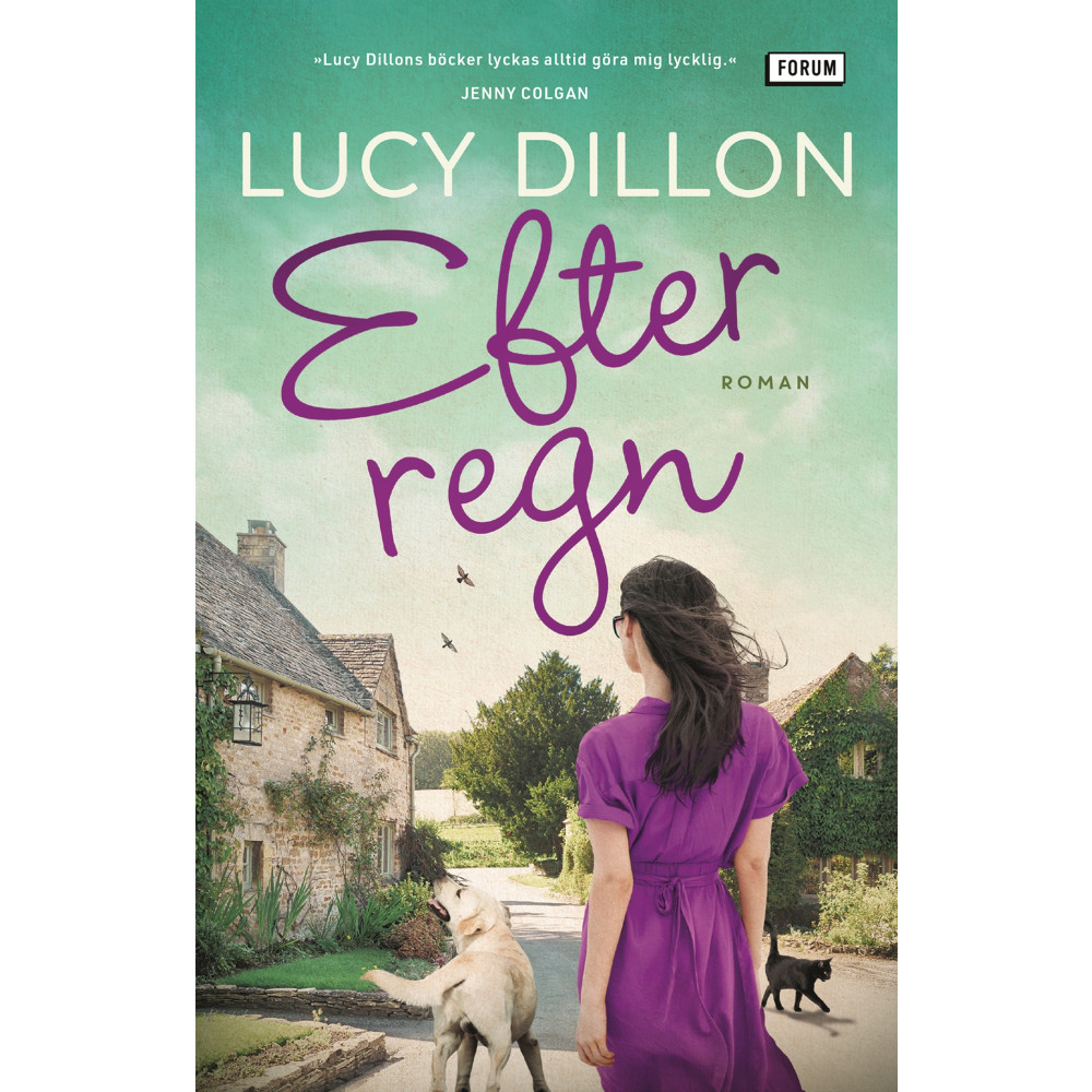 Efter regn (bok, storpocket) Lucy Dillon