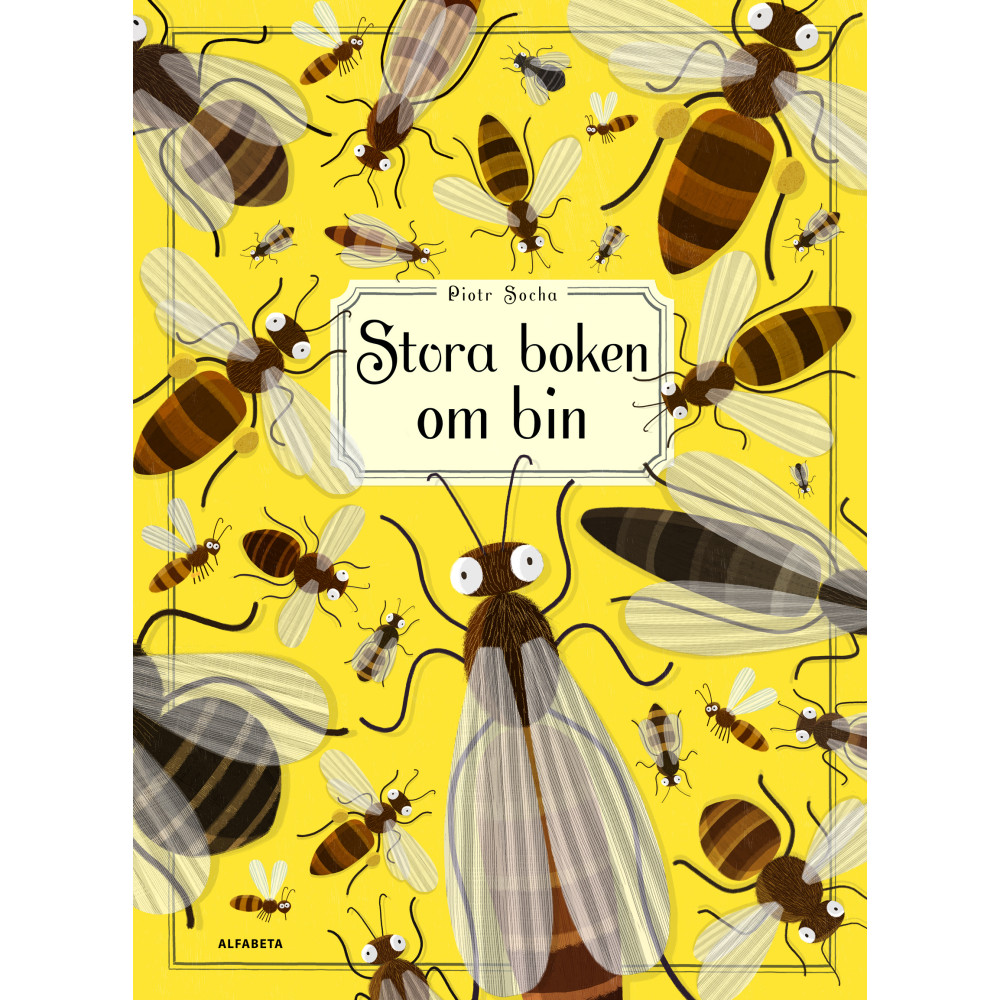 Stora boken om bin (inbunden) Piotr Socha