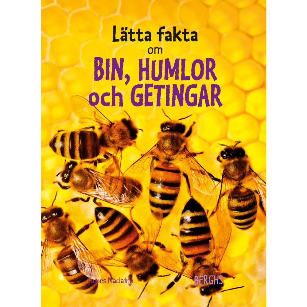 Lätta fakta om bin, humlor och  getingar (inbunden) James Maclaine
