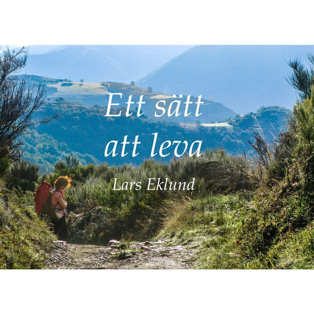 Ett sätt att leva : Camino de Santiago (häftad) Lars Bruno Eklund