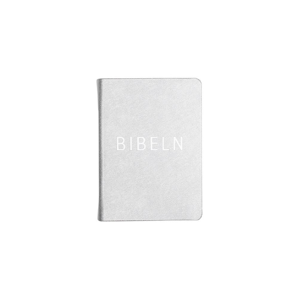 Bibel konfirmand silver (häftad) Verbum AB