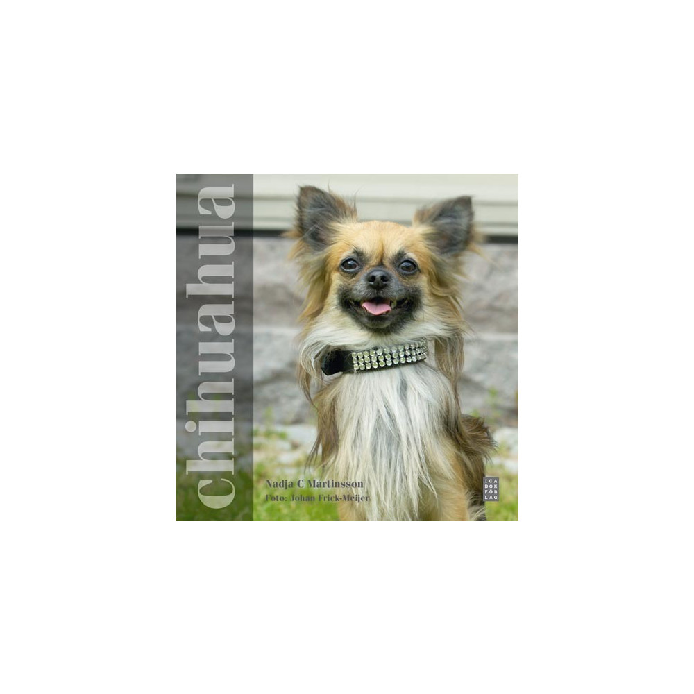 Chihuahua (inbunden) Ica Bokförlag