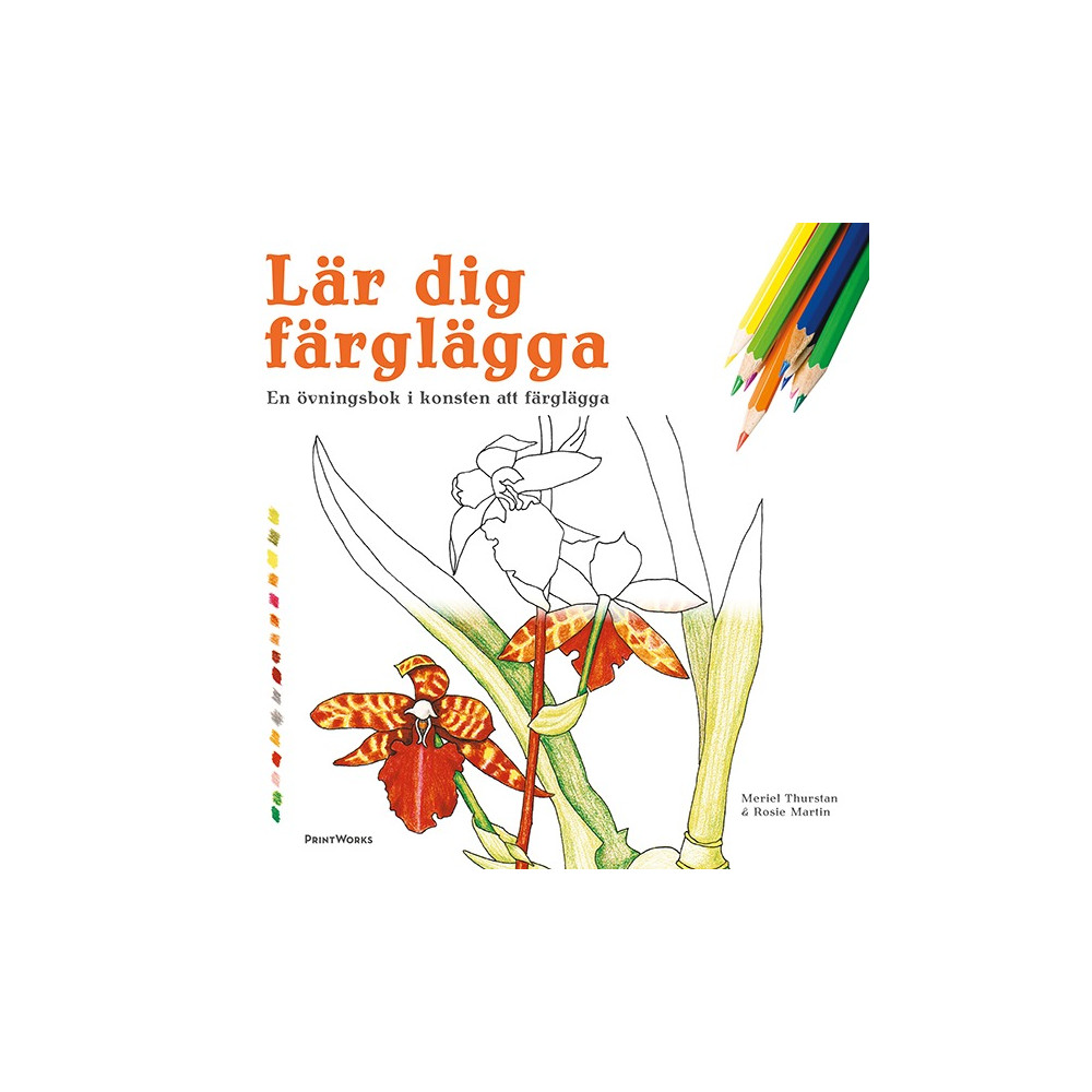 Lär dig färglägga : en övningsbok i konsten att färglägga (häftad) Meriel Thurstan