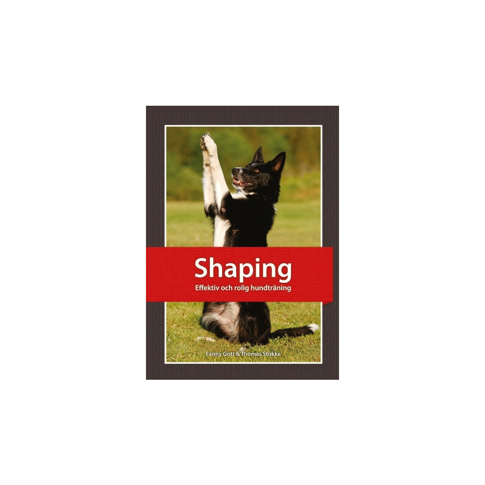 Shaping : effektiv och rolig hundträning (häftad)