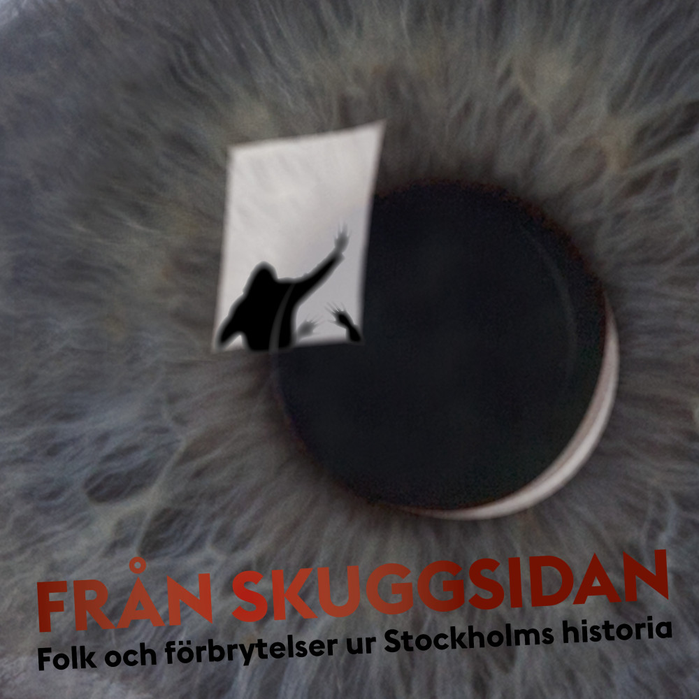 Från skuggsidan : folk och förbrytelser ur Stockholms historia (häftad)