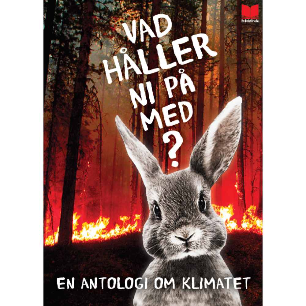 Vad håller ni på med? : en antologi om klimatet (bok, danskt band) Elisabeth Östnäs