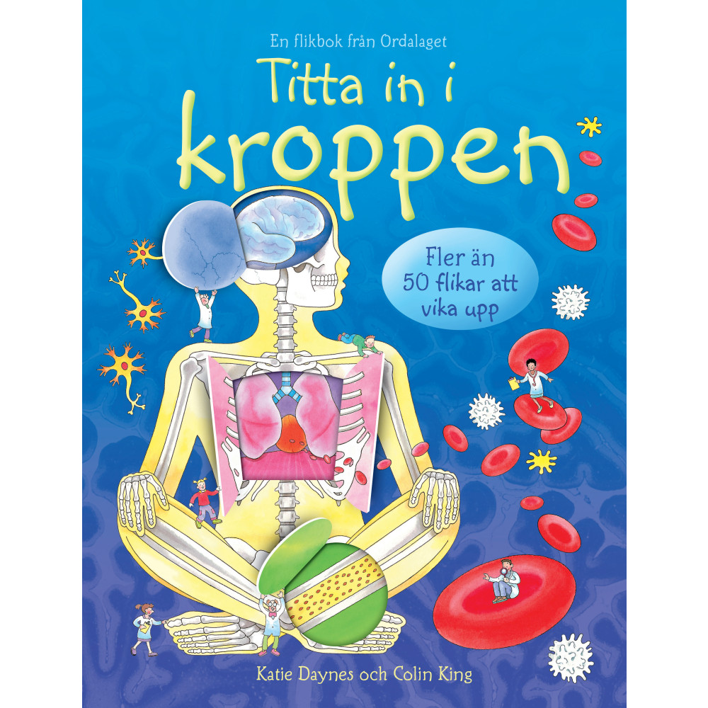 Titta in i kroppen (bok, board book) Katie Dynes