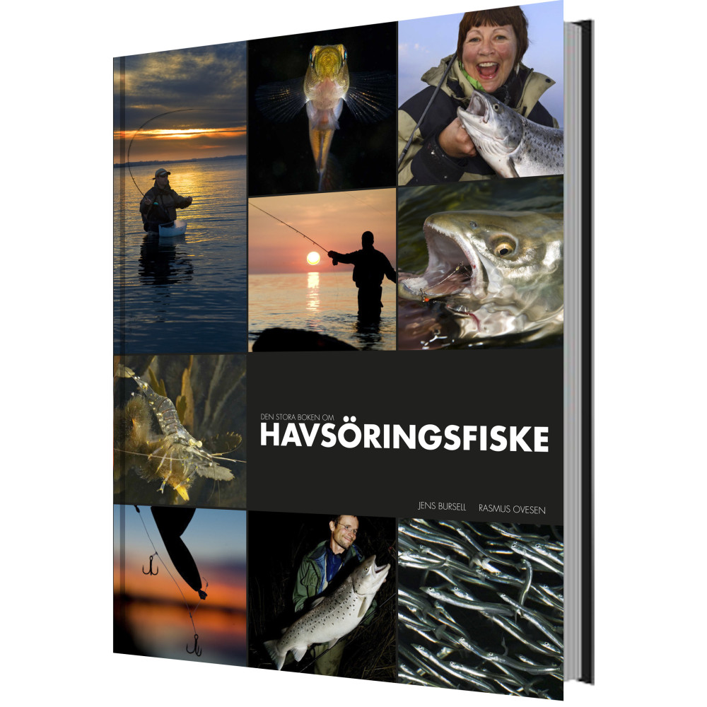 Den stora boken om havsöringsfiske (inbunden) Jens Bursell
