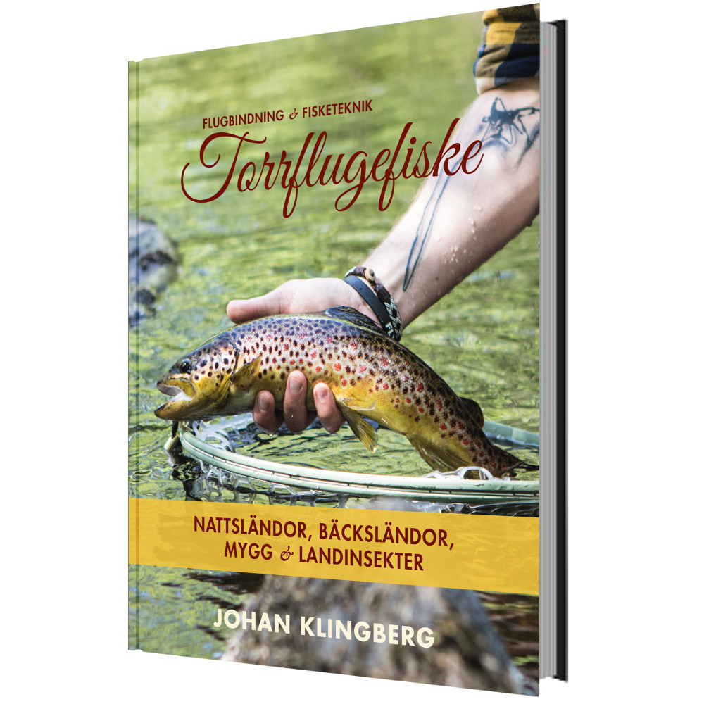 Torrflugefiske: Nattsländor, bäcksländor, mygg och landinsekter (inbunden) Johan Klingberg
