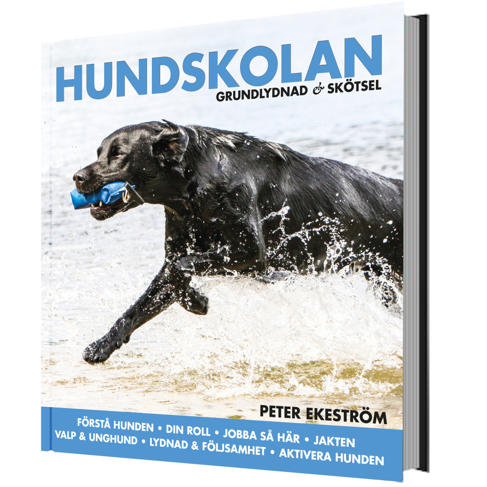 Hundskolan : grundlydnad & skötsel (inbunden) Peter Ekeström