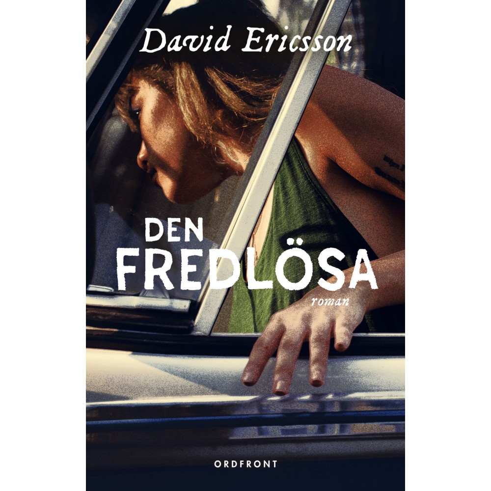Den fredlösa (inbunden) David Ericsson