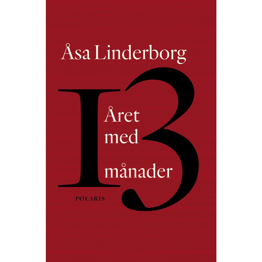 Året med 13 månader : en dagbok (pocket) Åsa Linderborg