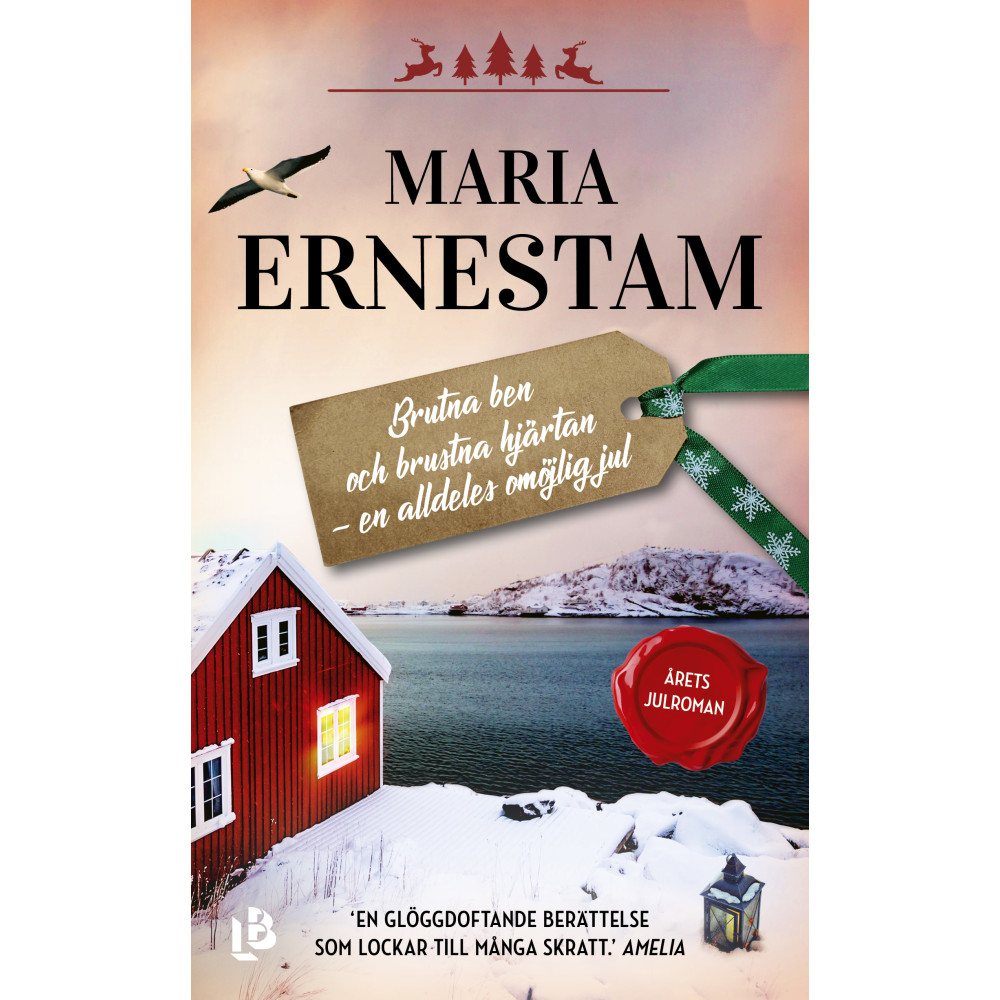 Brutna ben och brustna hjärtan - en alldeles omöjlig jul (pocket) Maria Ernestam