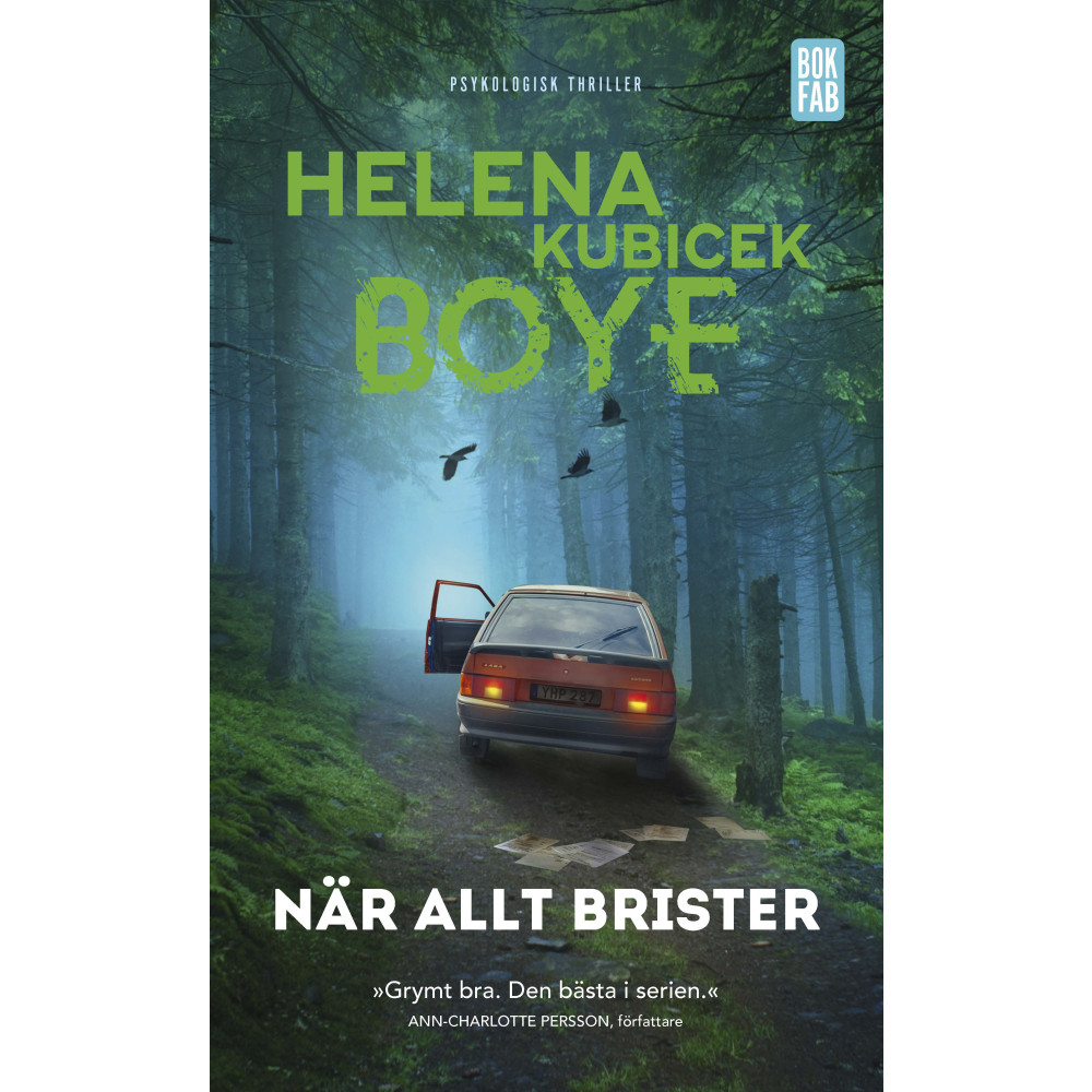 När allt brister (pocket) Helena Kubicek Boye