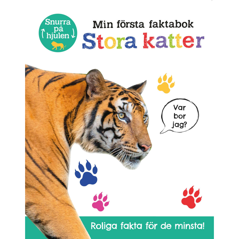 Min första faktabok : stora katter (bok, board book) Lind & Co