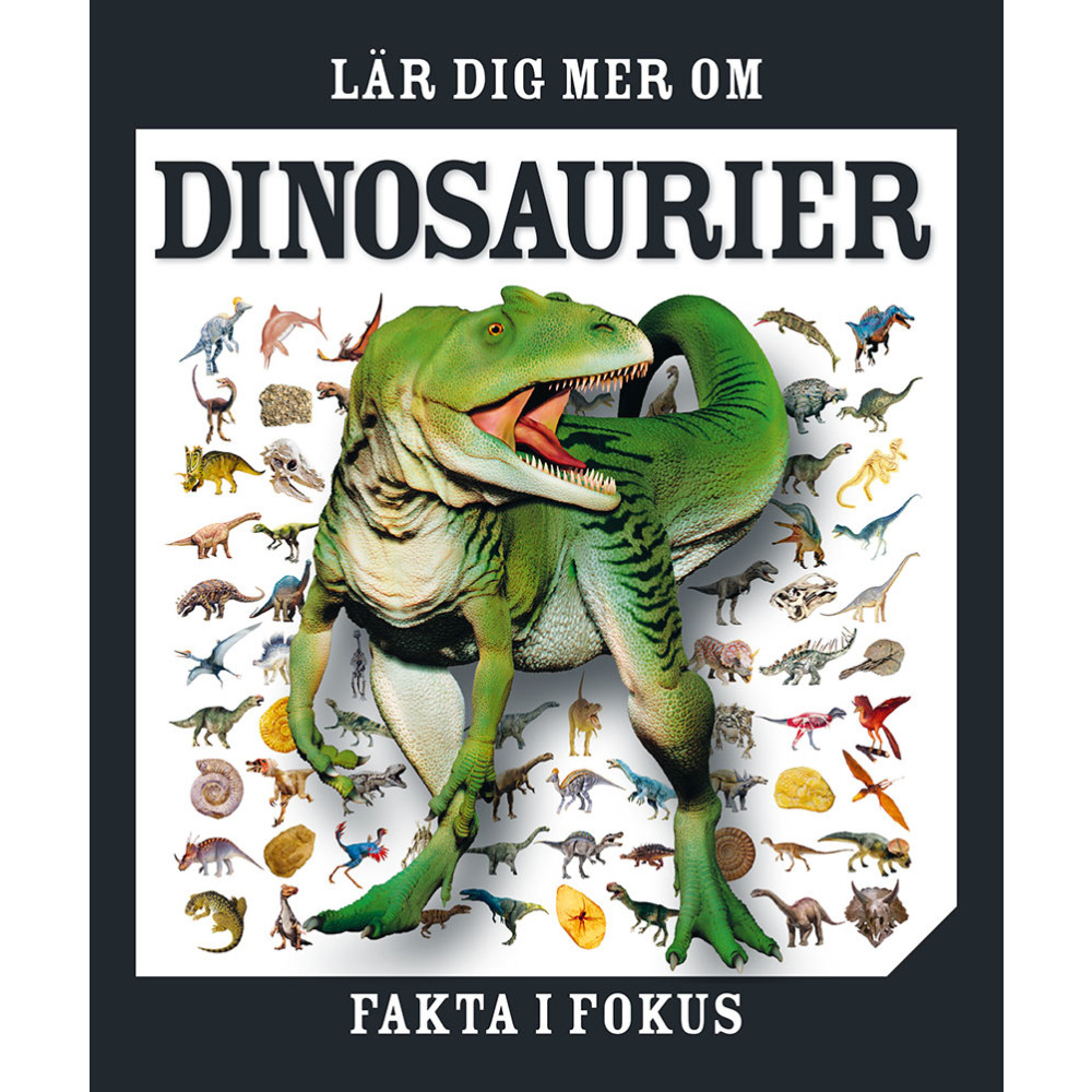 Lär dig mer om dinosaurier (inbunden) Tukan Förlag