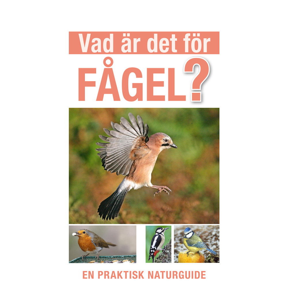 Vad är det för fågel? (häftad) Rob Hume
