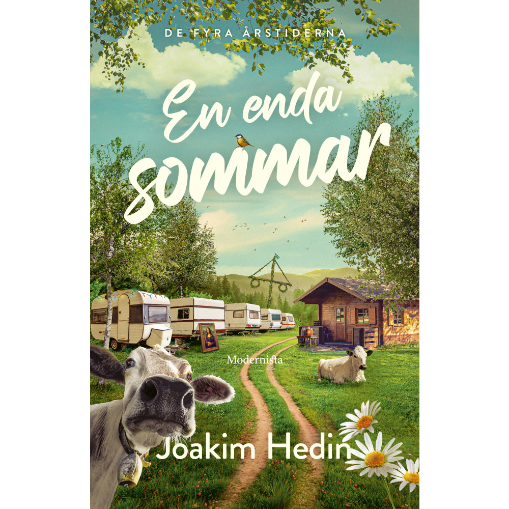 En enda sommar (inbunden) Joakim Hedin