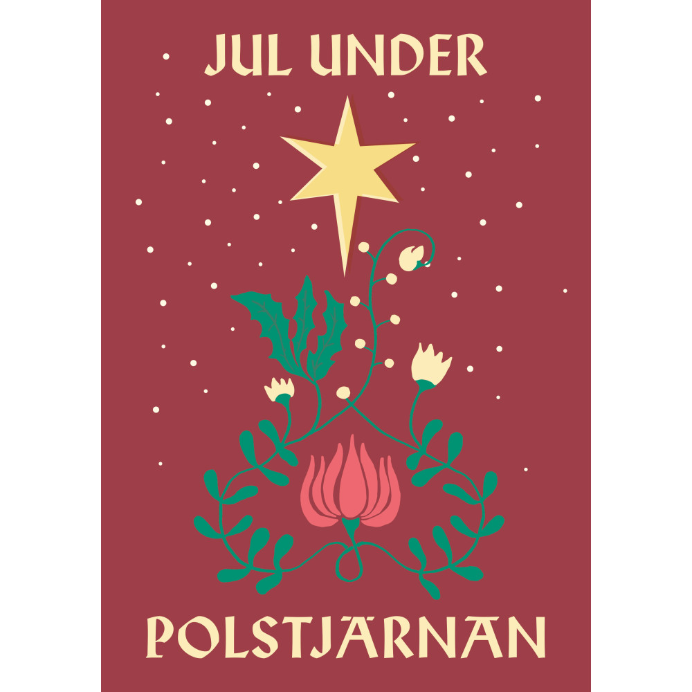 Jul under polstjärnan (inbunden)