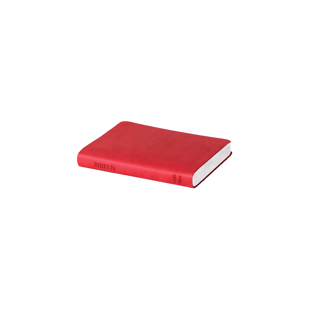 Svenska Folkbibeln 2015, slimline, rosa skinnimitation (inbunden) Svenska Folkbibeln
