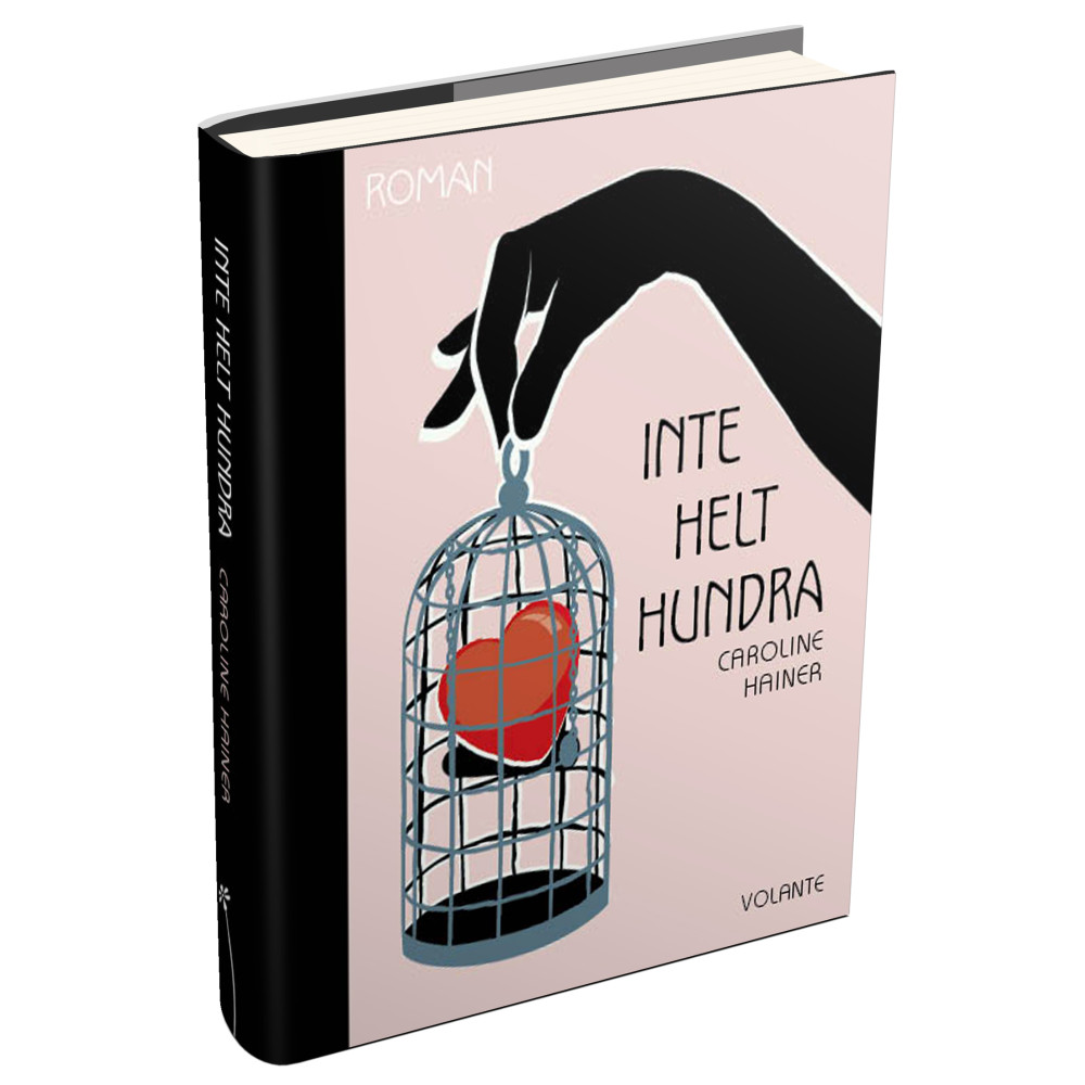 Inte helt hundra (inbunden) Caroline Hainer