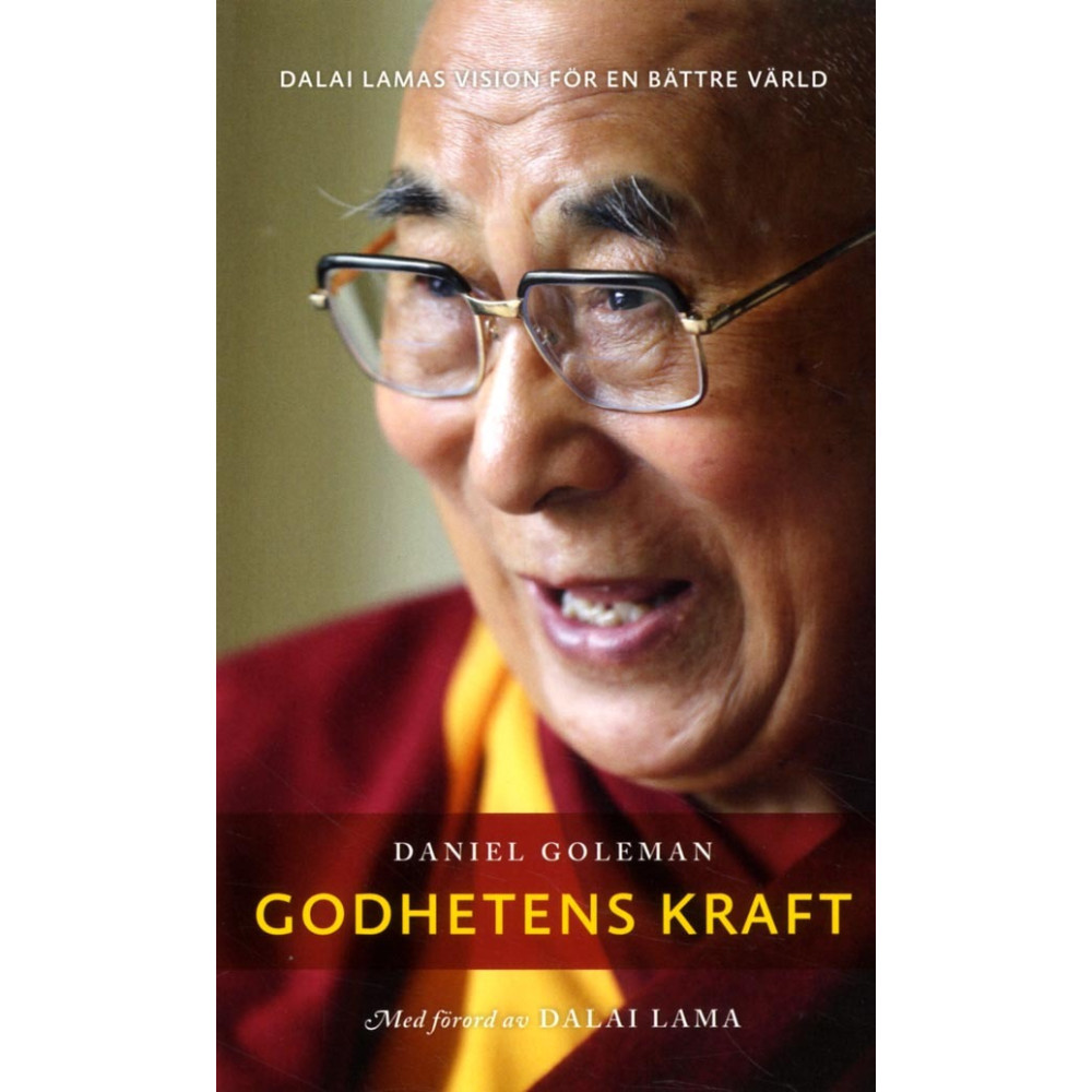 Godhetens kraft : Dalai lamas vision för en bättre värld (pocket) Daniel Goleman