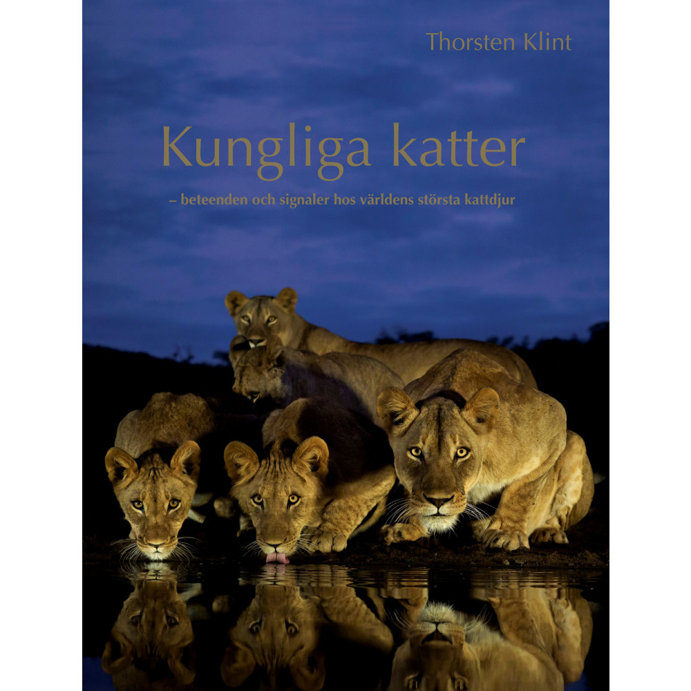 Kungliga katter : beteenden och signaler hos världens största kattdjur (inbunden) Thorsten Klint