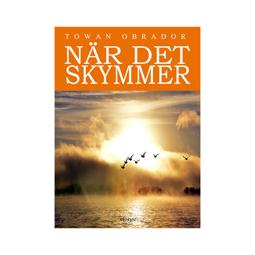 När det skymmer (pocket) Towan Obrador