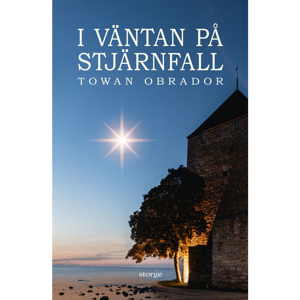 I väntan på stjärnfall (inbunden) Towan Obrador