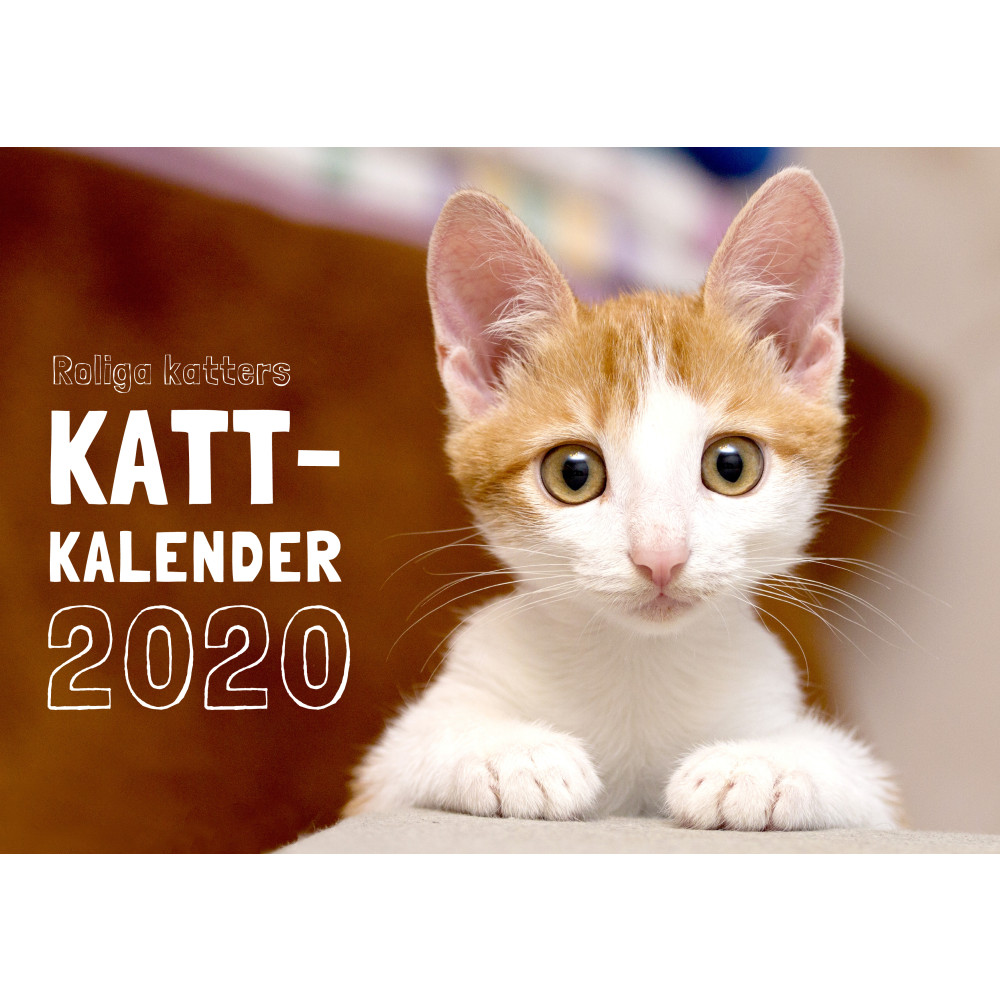 Roliga katters kattkalender 2020 (häftad) Pug Förlag