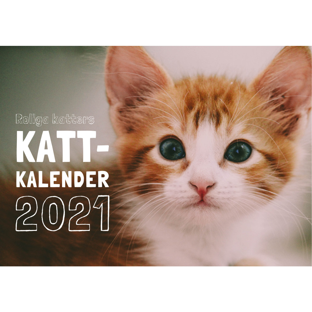 Roliga katters kattkalender 2021 (bok) Pug Förlag