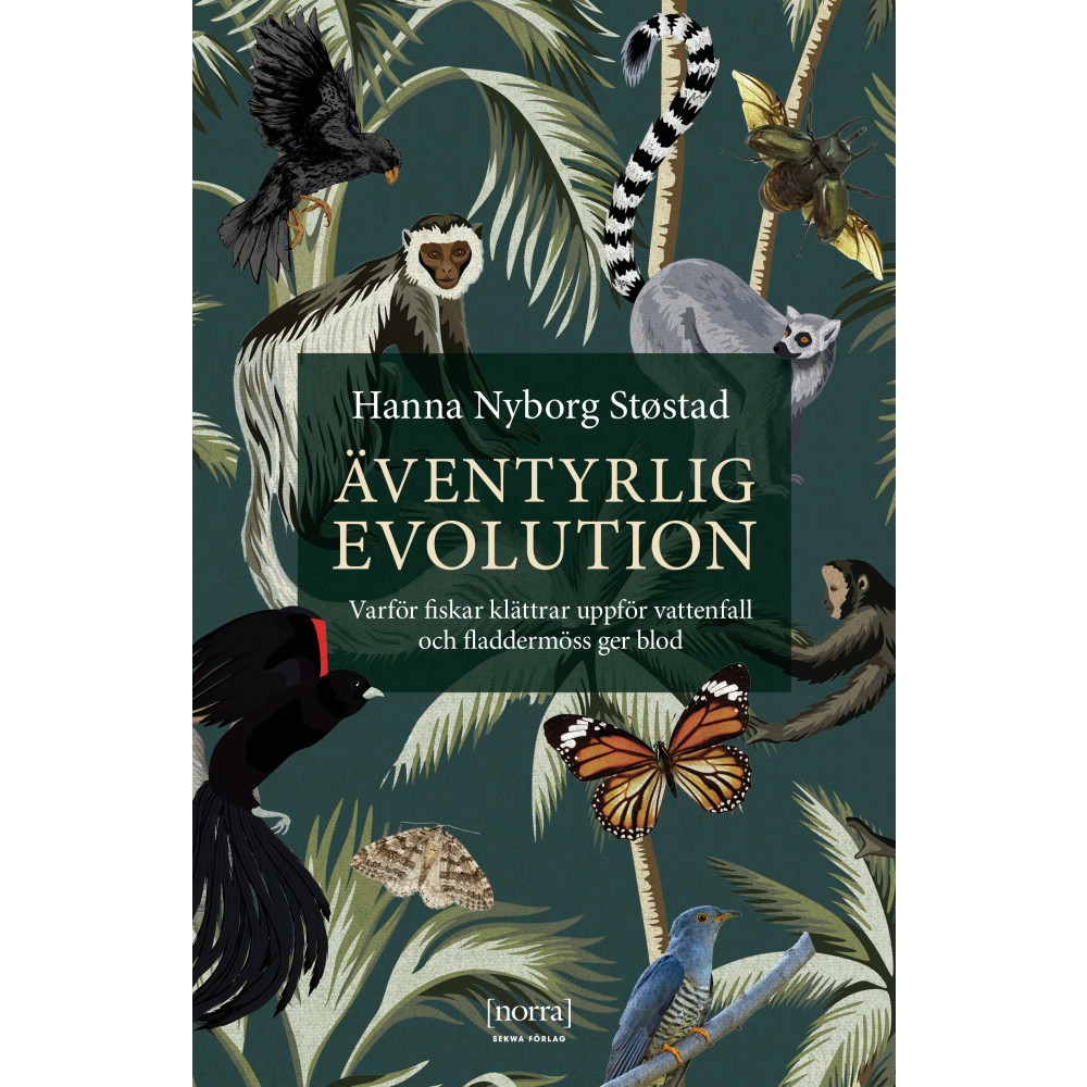 Äventyrlig evolution : varför fiskar klättrar uppför vattenfall och fladdermöss ger blod (pocket) Hanna Nyborg Støstad