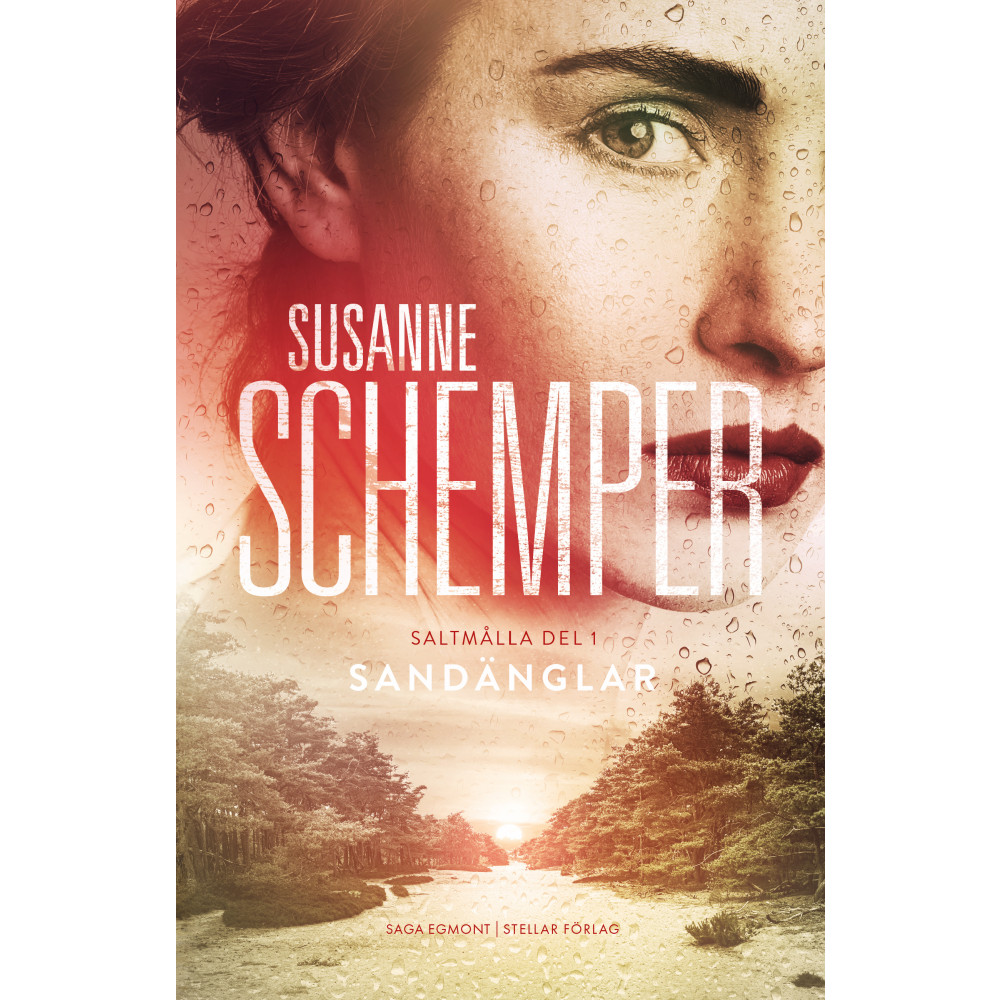 Sandänglar (inbunden) Susanne Schemper