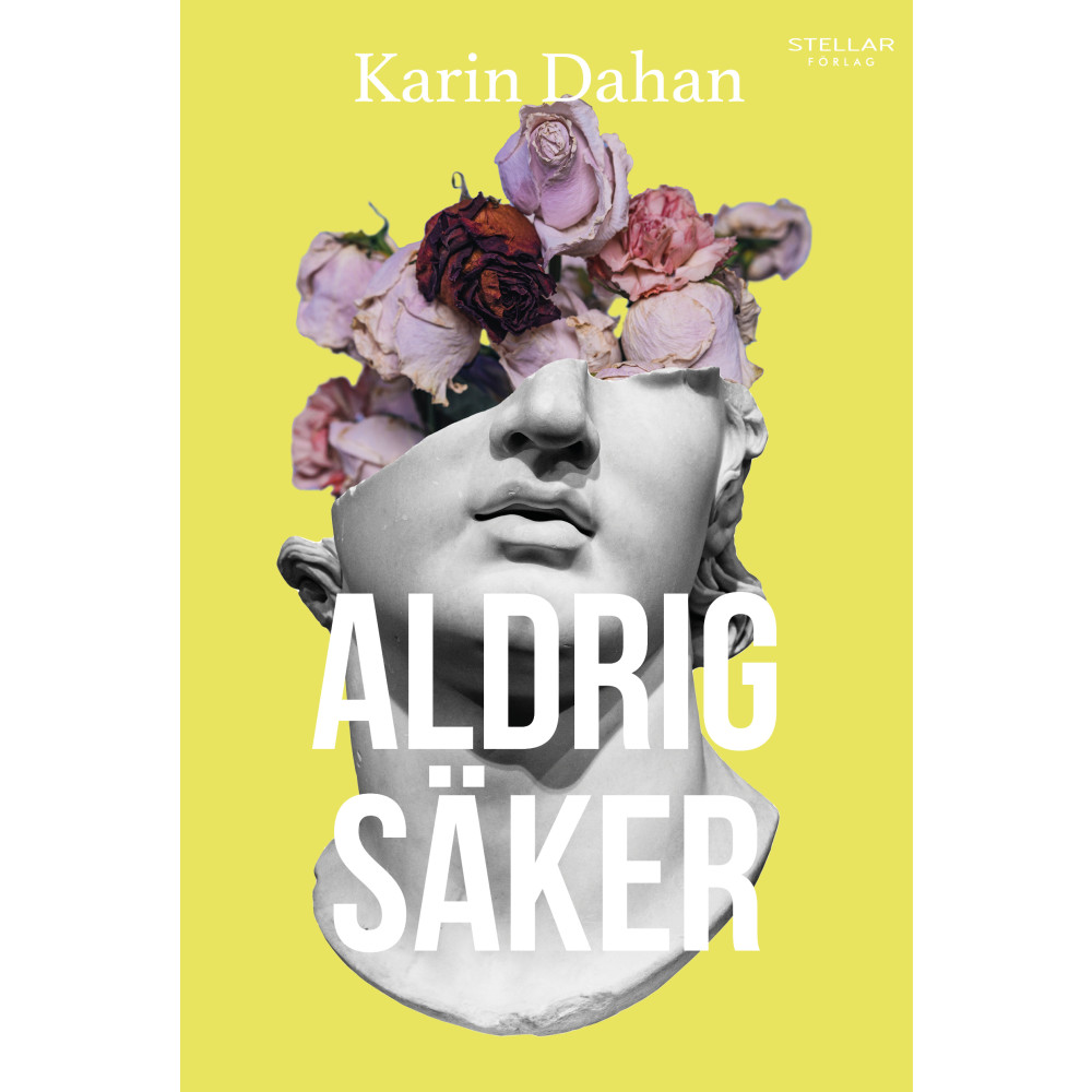 Aldrig säker (bok, danskt band) Karin Dahan