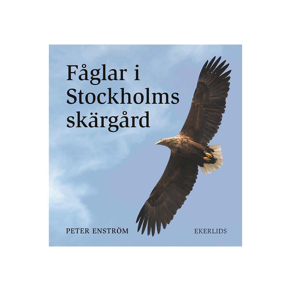 Fåglar i Stockholms skärgård (inbunden) Peter Enström