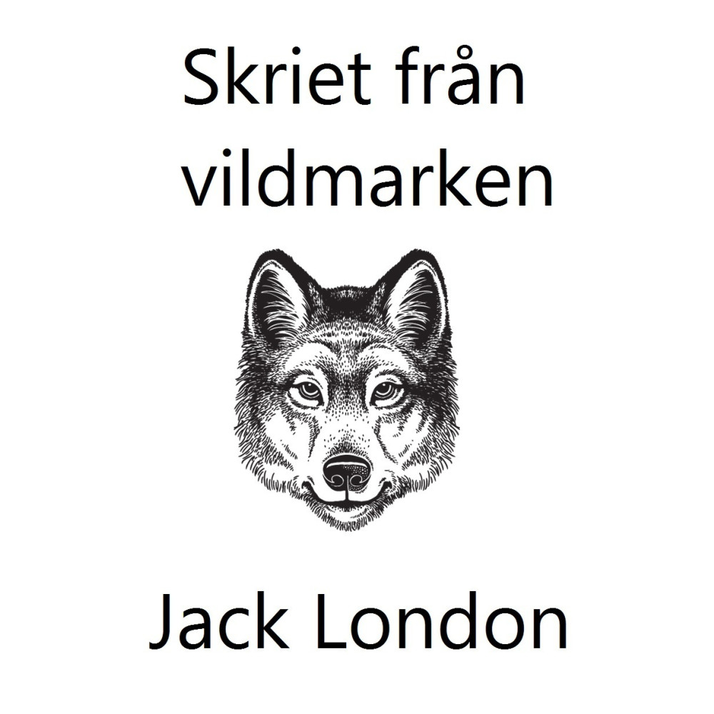 Skriet från vildmarken (lättläst) (häftad) Jack London