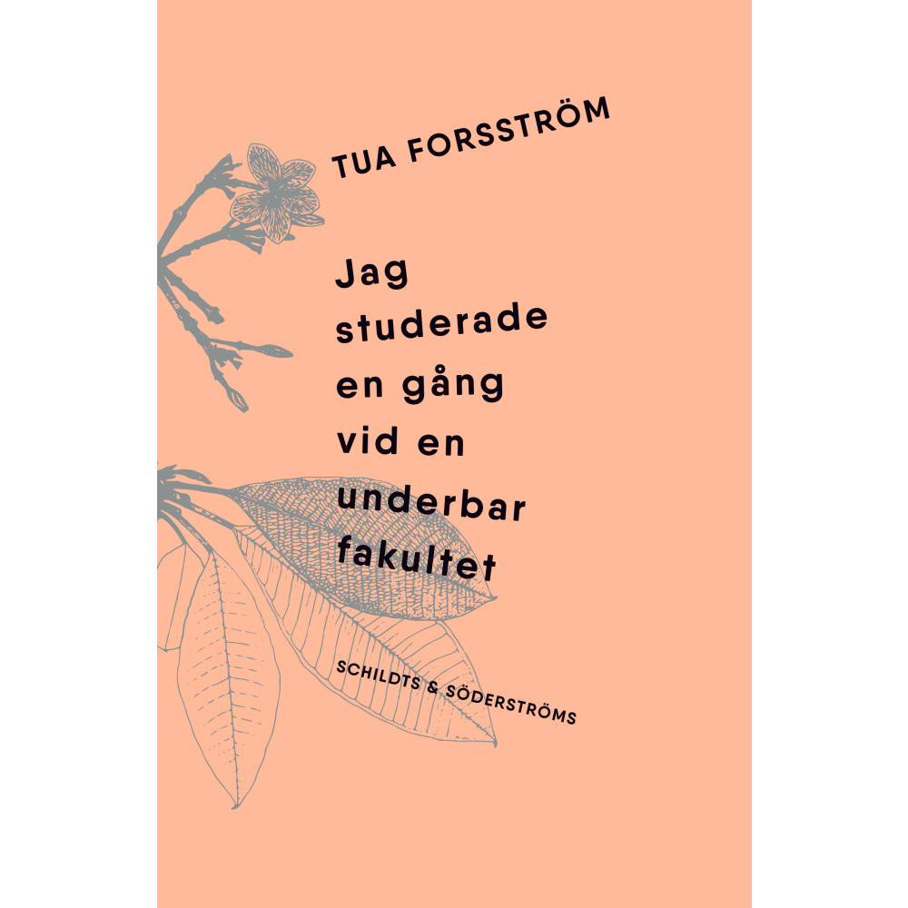 Jag studerade en gång vid en underbar fakultet (inbunden) Tua Forsström