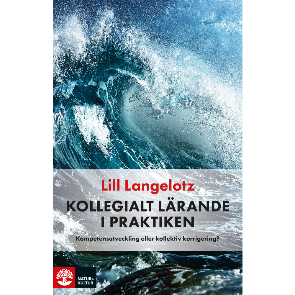 Kollegialt lärande i praktiken : kompetensutveckling eller kollektiv korrigering? (häftad)