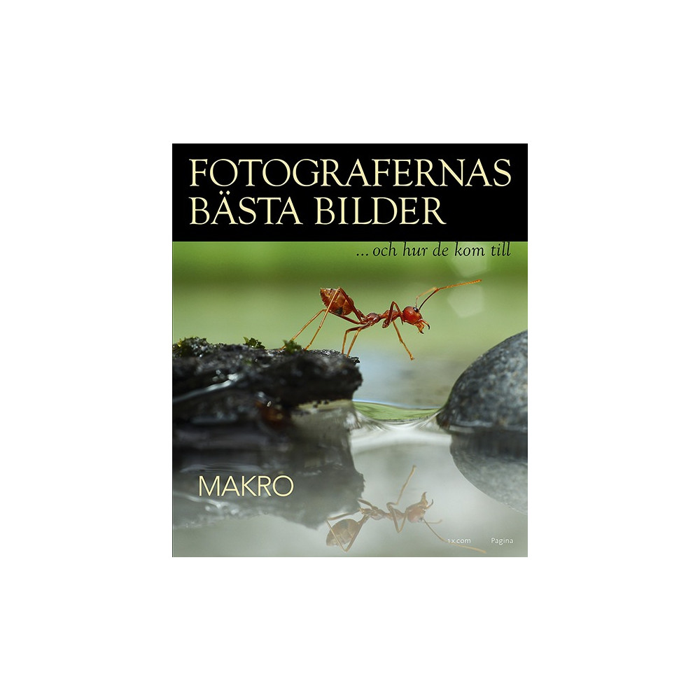 Fotografernas bästa bilder - Makro (inbunden) Pagina Förlags