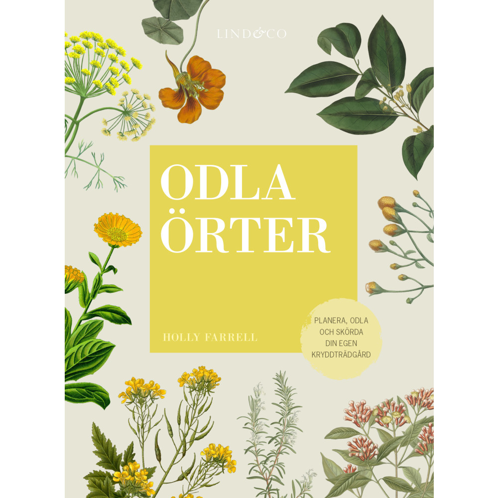 Odla örter : planera, odla och skörda  din egen kryddträdgård (bok, kartonnage)