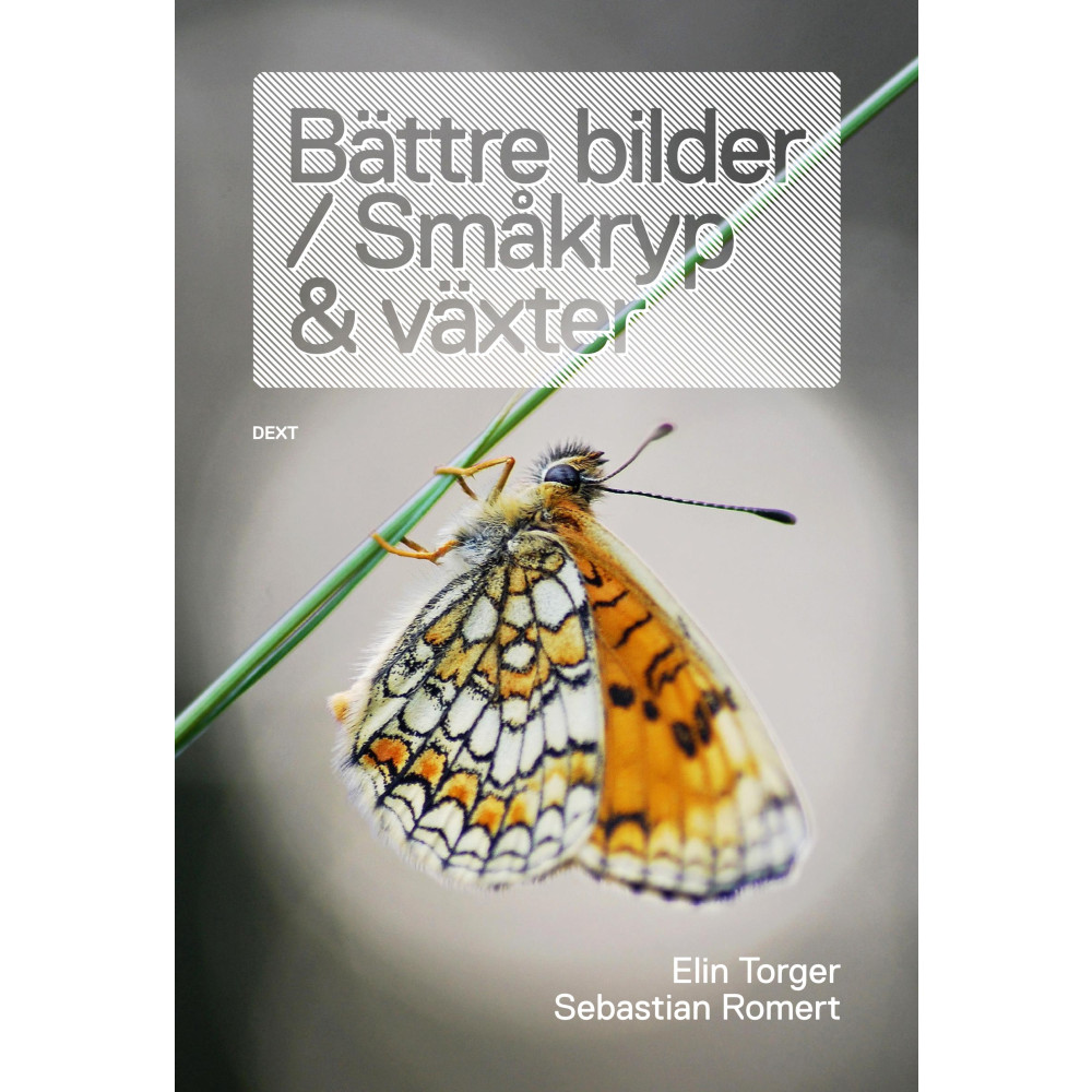 Bättre bilder / Småkryp och växter (bok, danskt band) Elin Torger