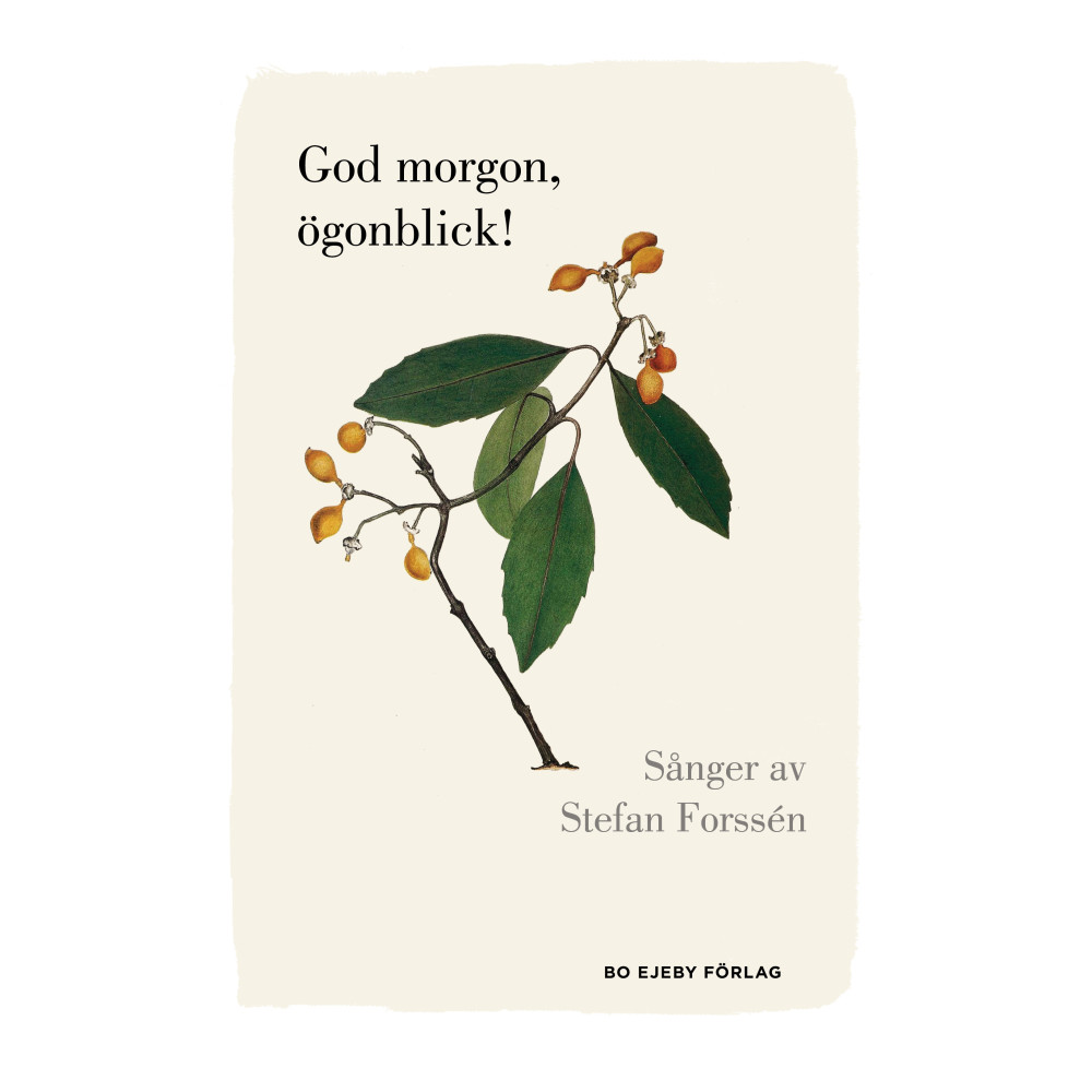 God morgon, ögonblick! (inbunden) Stefan Forssén
