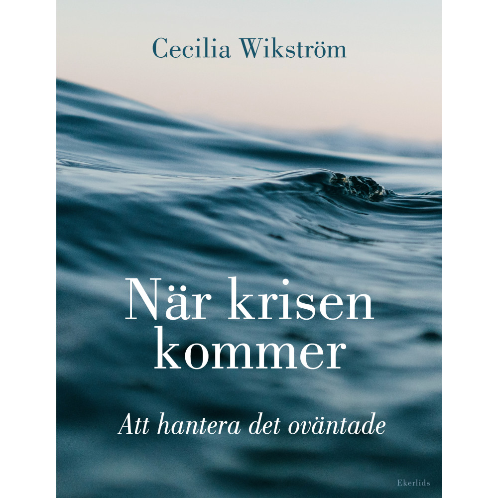 När krisen kommer : att hantera det oväntade (bok, danskt band)