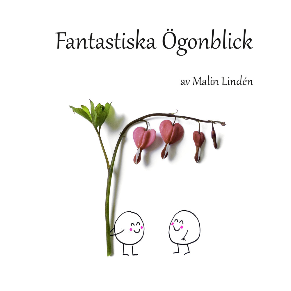 Fantastiska ögonblick (inbunden) Malin Lindén
