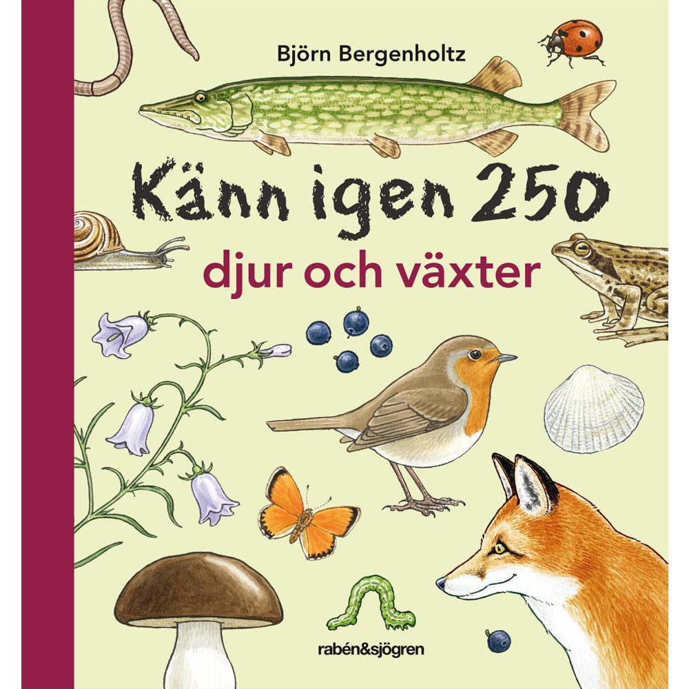 Känn igen 250 djur och växter (bok, flexband) Björn Bergenholtz