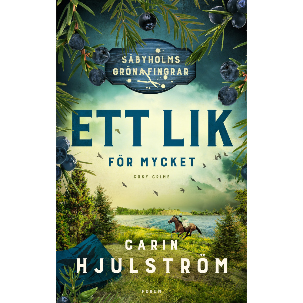 Ett lik för mycket (inbunden) Carin Hjulström