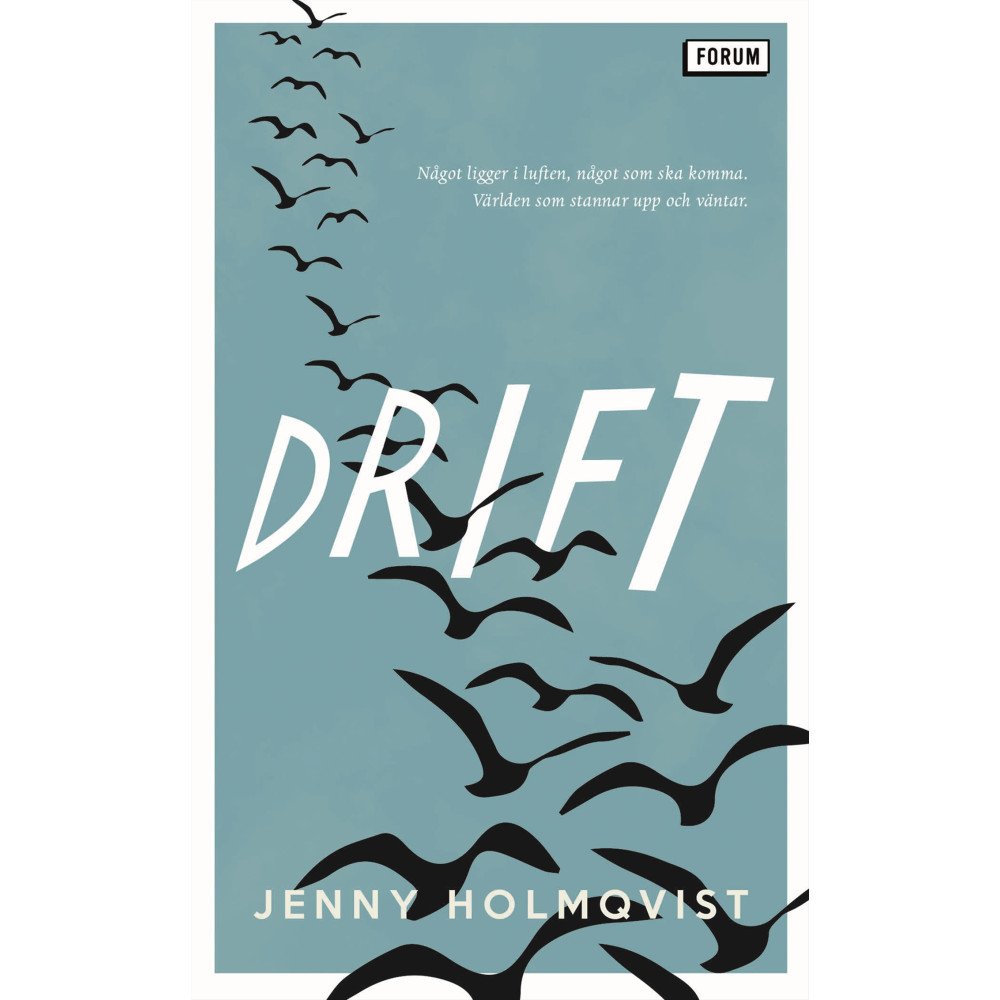 Drift (pocket) Jenny Holmqvist