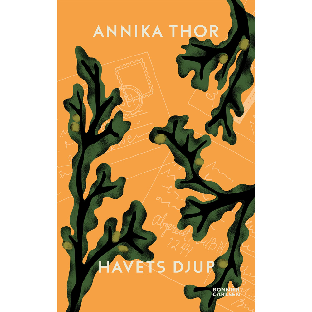 Havets djup (bok, danskt band) Annika Thor