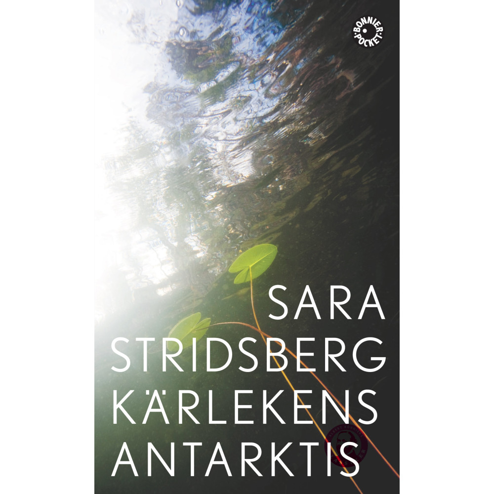 Kärlekens Antarktis (pocket) Sara Stridsberg